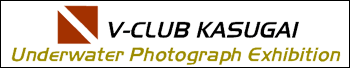 UnderWater Photograph Exhibition